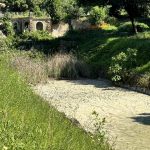 Villa Pamphilj: il canale della fontana del Giglio è rimasto a secco