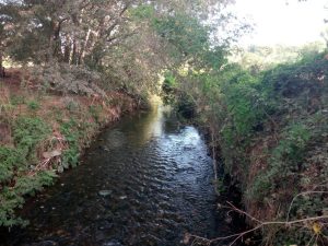 Riqualificazione del fiume Almone: il Campidoglio al lavoro per rilanciare il fiume sacro dei romani
