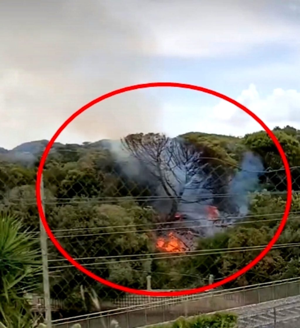 Incendio a Ostia, fiamme alte e fumo nero nella pineta di Castel Fusano