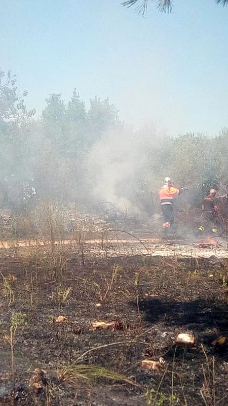 Gualteri firma l’ordinanza antincendio: i privati dovranno sfalciare le piante infestanti