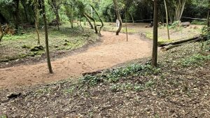 A Villa Ada ci sarà un "lago dai fiori blu"