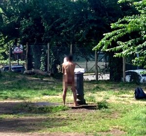 "C'è un uomo nudo nel parco del Pineto": la denuncia