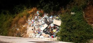 Roghi tossici e rifiuti sul lungotevere Flaminio: "Il Comune intervenga per evitare un nuovo incendio"