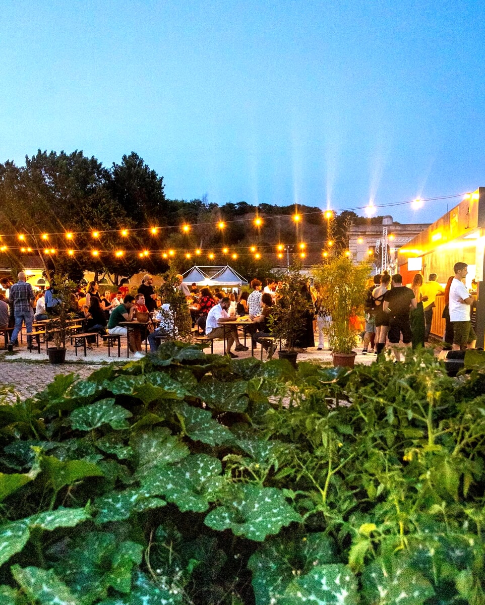 Street Sud Festival 2024