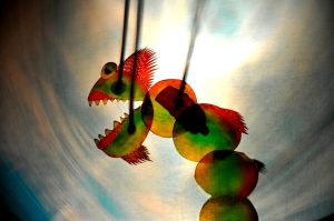 Immagina, Festival internazionale del Teatro di figura di Roma