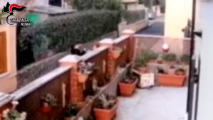 VIDEO | "Signora, è per suo figlio": le intercettazioni dei truffatori degli anziani e la disperazione delle vittime