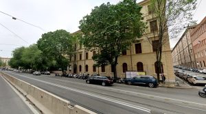 Viale Manzoni dice addio a 17 olmi: "Sono gravemente danneggiati"