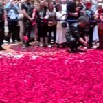 VIDEO | Pioggia di petali di rose al Pantheon: la magia si rinnova anche quest’anno