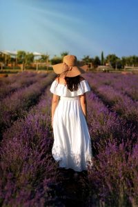 La Festa della Lavanda di Roma