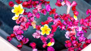 L’acqua di San Giovanni. Storia e preparazione dell’antico infuso benefico