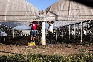 Scafisti con un click. Così intermediari e aziende guadagnano sull'arrivo dei migranti