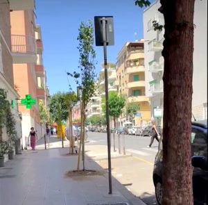 Tra piazza Bologna e Tiburtina negozianti e residenti "adottano" gli alberi per non farli seccare