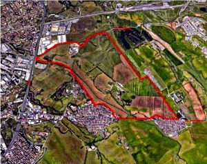 Impianto a biomasse a Roma est, chiesto al presidente Rocca di sospendere il progetto