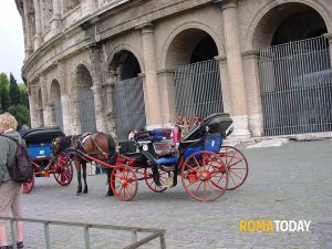 Botticelle all’ex Galoppatoio di villa Borghese. Il trasferimento si è arenato