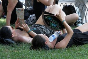 Piano del verde di emergenza: contro il caldo 30 alberi in vaso alle fermate del bus 