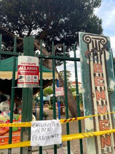 Area giochi chiusa: c'è un pino considerato "pericolante"