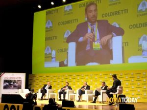 Cinghiali e peste suina mettono i produttori in ginocchio. Coldiretti pronta a manifestare con i trattori