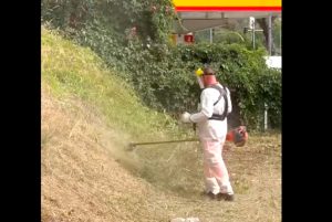 Una task force Ama di 300 operatori per diserbo e sfalcio in tutta Roma