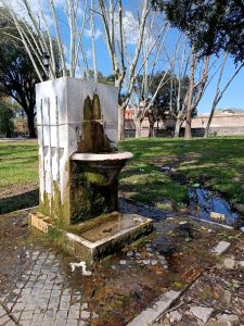 Fontanelle, poche e rotte nei giardini del centro. Il municipio lancia l’allarme