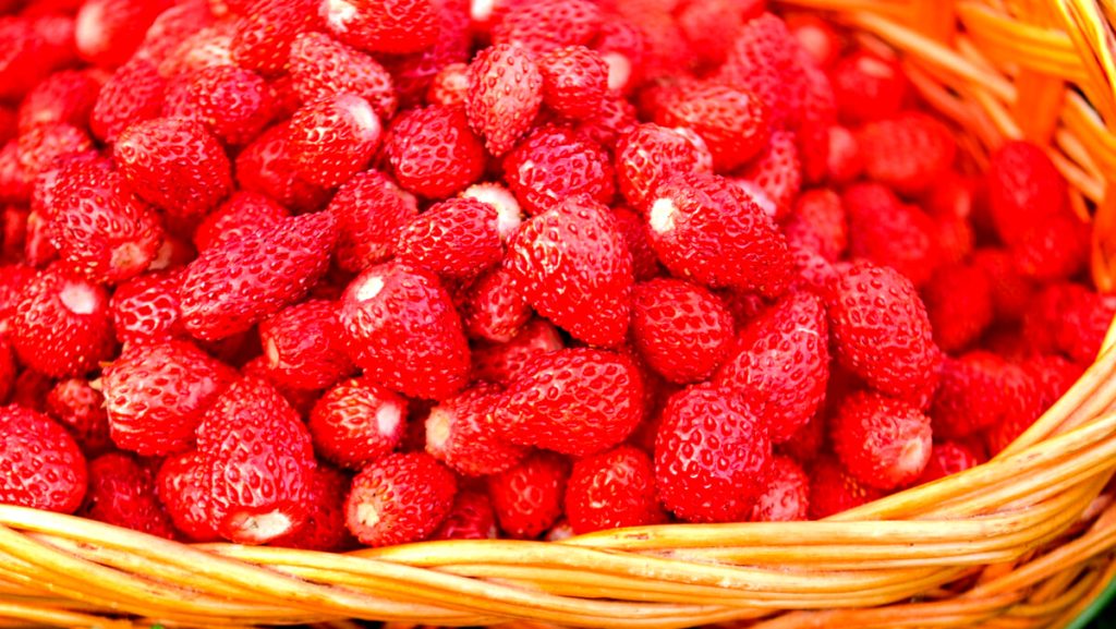 Storia di Nemi, il borgo diventato famoso per le sue fragole piccole e buonissime