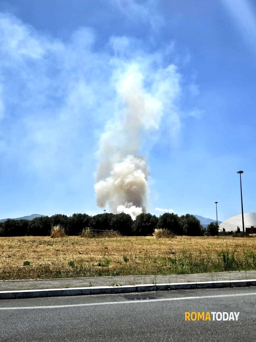 Roma, incendio a Tor Vergata. In fiamme l'area delle Vele di Calatrava