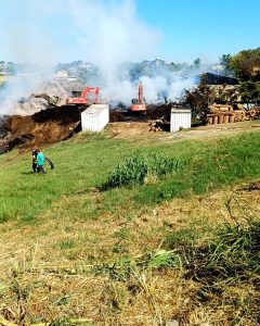 Incendio al vivaio: brucia un capannone pieno di legna