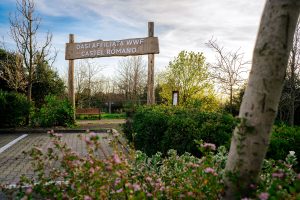 Weekend di laboratori all'Oasi Affiliata WWF di Castel Romano