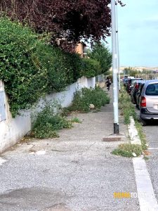 L'erba del "vicinato" è sempre più "alta".