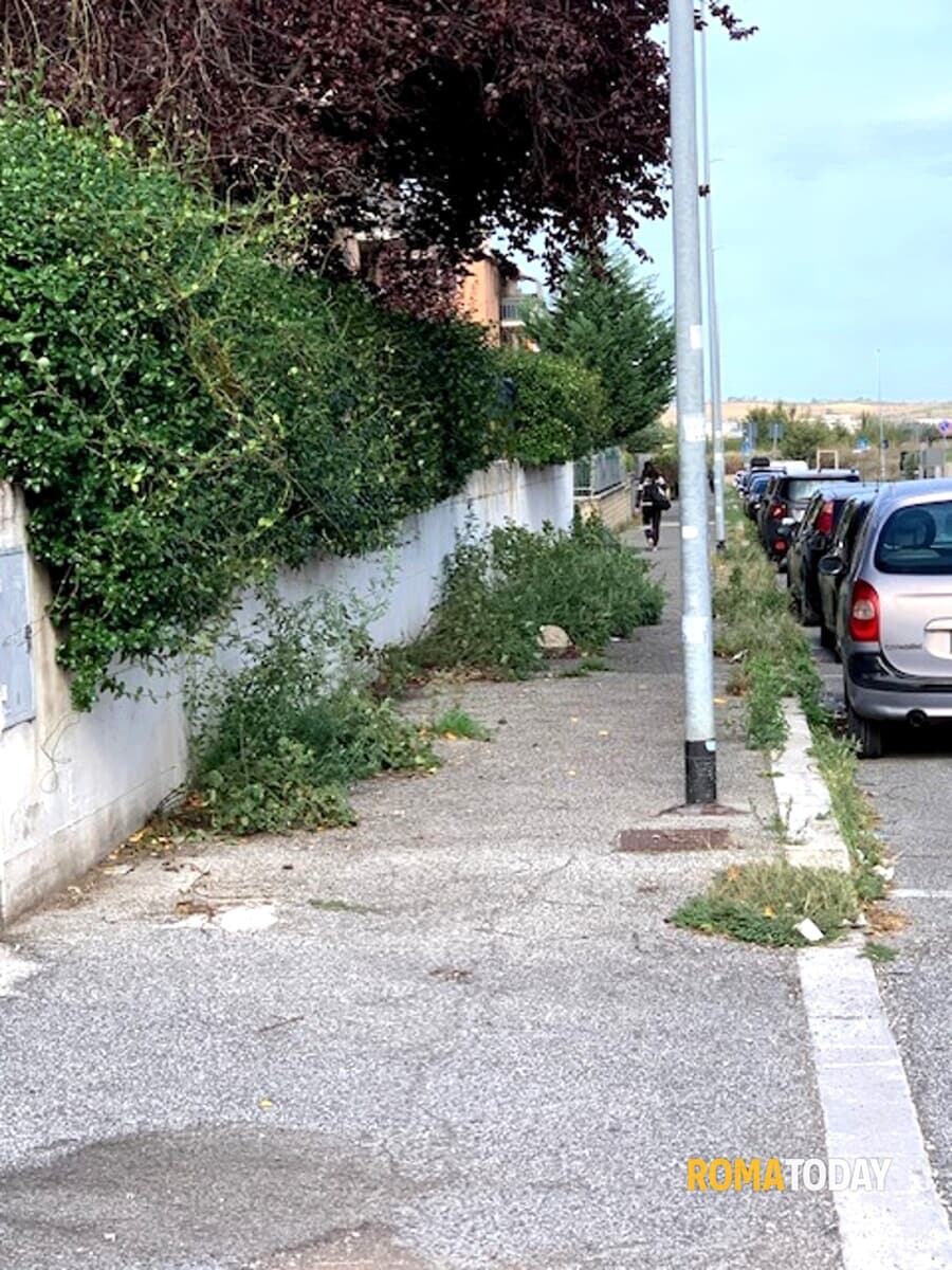 L'erba del "vicinato" è sempre più "alta".