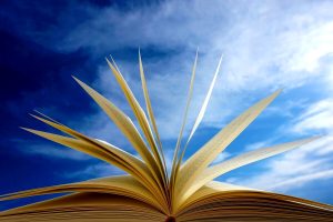 Estate 2024, 5 romanzi da leggere sotto l'ombrellone