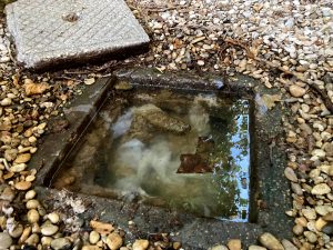 Lo scarico fognario è rotto, nel giardino del centro anziani arrivano i liquami