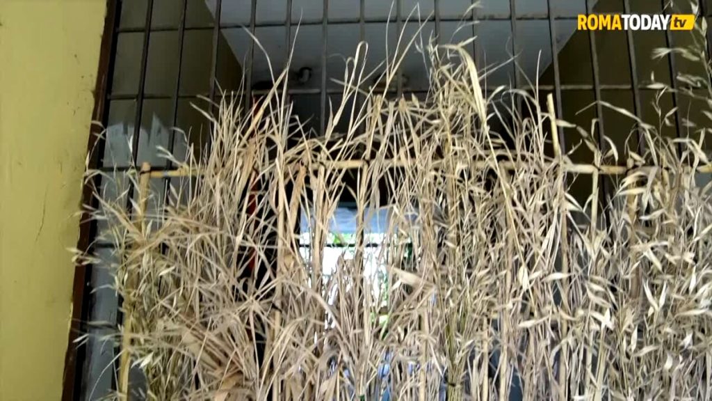 VIDEO | Ponte di Nona come Caivano? La commissione parlamentare d'inchiesta visita il quartiere dov’è stata uccisa Ciurleo