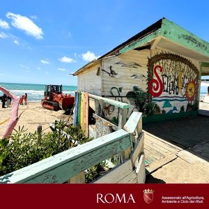 Capocotta, sei proposte per gli ultimi due lotti a bando: la gestione durerà quattro mesi