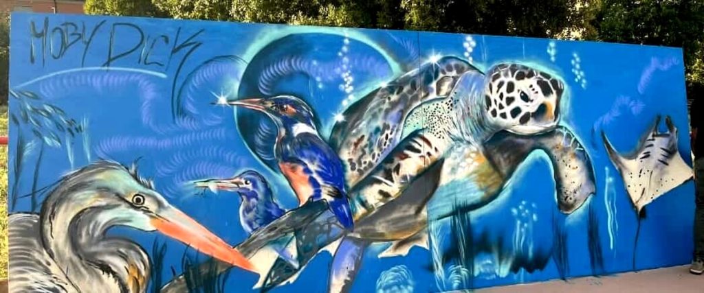 Non solo Ostia: anche ad Acilia arriva un murales dedicato alle tartarughe marine