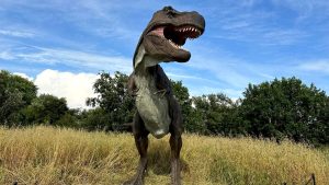 Weekend nell'Oasi affiliata WWF a Castel Romano