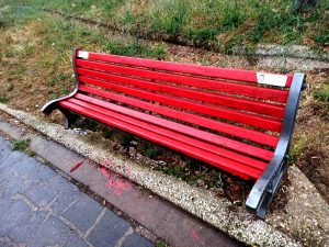 Svastica al parco Papacci, scoppia la polemica sulle telecamere