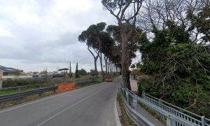 Grosso ramo si spezza e colpisce auto in transito