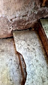 Siringhe, gradini rotto e mura vandalizzate: degrado e abbandono a Monteverde