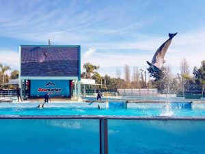 "Diversamente divertente" a Zoomarine