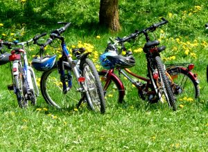 E-Bike Tour all'Adventureland Park Cassino