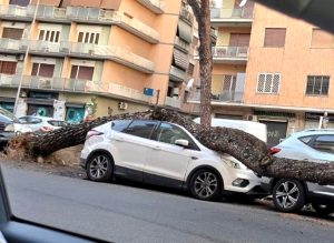 Via Gregorio VII, albero crolla e distrugge auto parcheggiata