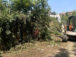 Ex Borghetto degli artigiani, partita la bonifica del verde infestante