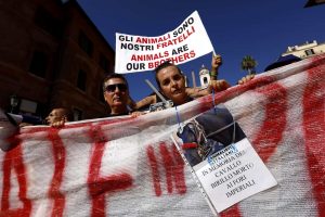 Roma, flash mob animalista contro le botticelle: "Lasciate in pace i cavalli"