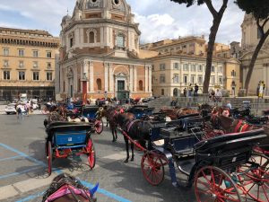 Botticelle, la mozione non basta: il Campidoglio prepara un piano per salutare i vetturini
