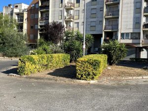 Il quartiere di Roma sud dove i residenti pagano un "obolo" per il taglio dell'erba