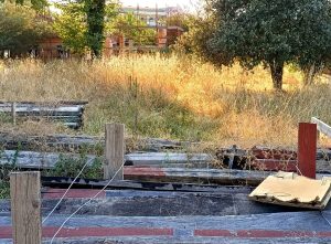 Sterpaglie e rifiuti nell'ex area giostrai e nel centro culturale. I residenti temono per gli incendi