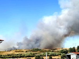 Incendi a Roma: fiamme a Prima Porta, Cesano e La Storta. Brucia anche l'area del cimitero