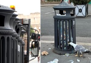 Cestò, i gabbiani banchettano grazie ai nuovi cestini. Il municipio del centro: “Riprogettateli”