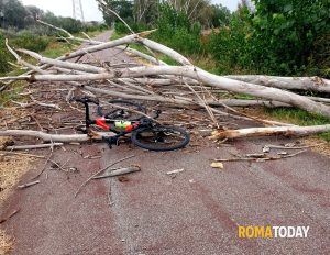 Vento a Roma, ciclista travolto da un albero a Tor di Valle: "Sono vivo per miracolo"