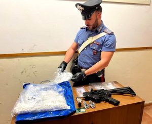 Mezzo chilo di cocaina nella busta dei surgelati